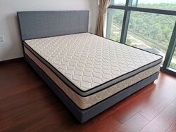 Normanton Park (D5), Apartment #556023581